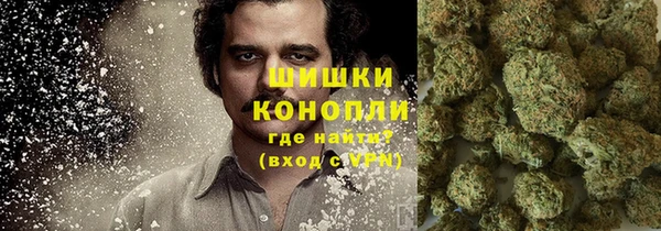 эйфоретик Баксан