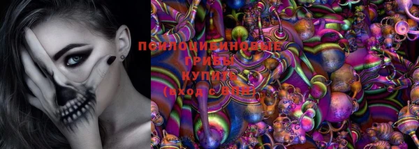 прущие крисы Балахна