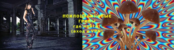 прущие крисы Балахна